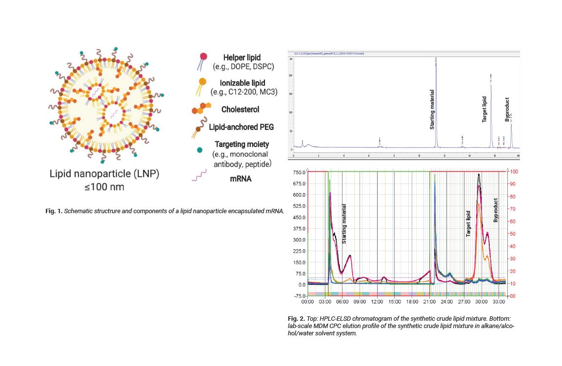 LipidNanoParticleV2